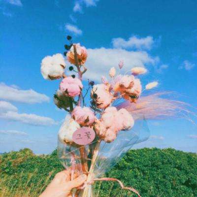 乐鱼app官方下载入口